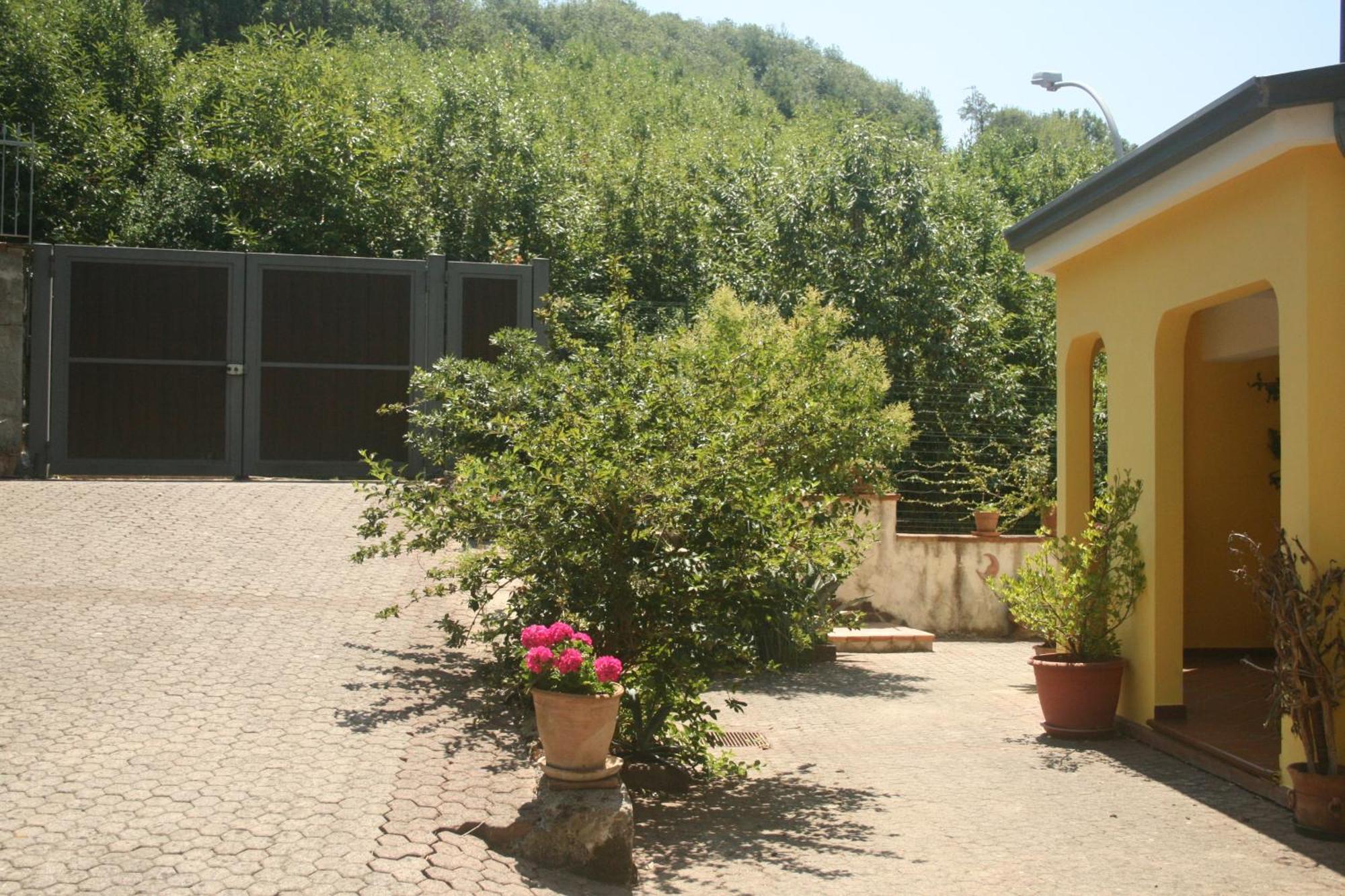 B&B Del Castagneto San Marco Argentano Zimmer foto